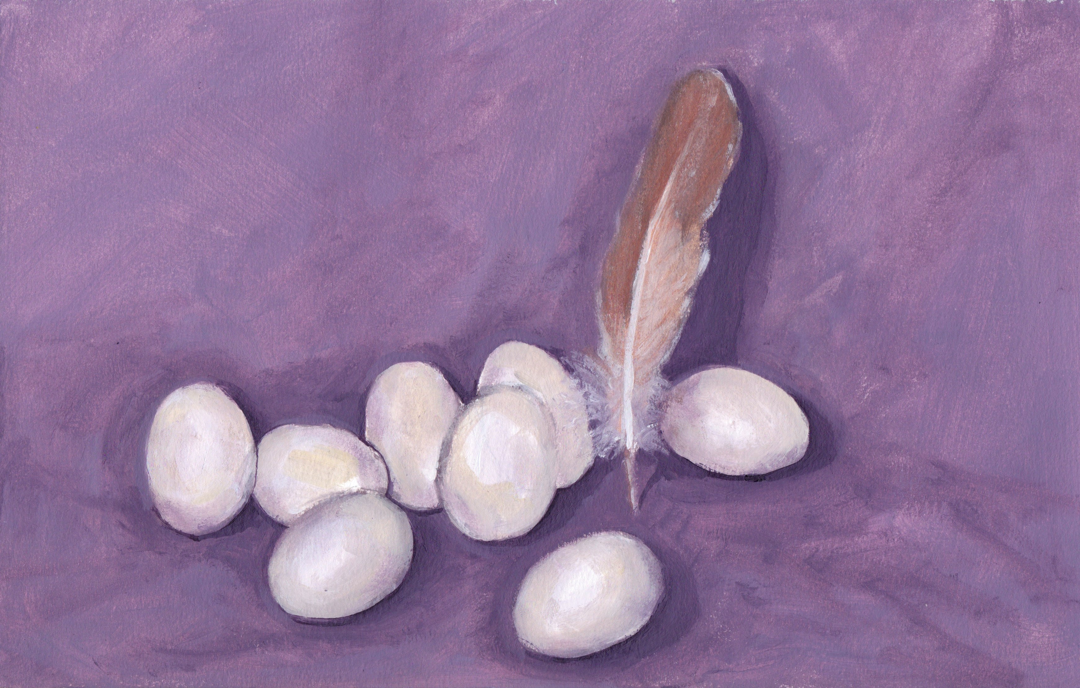 Eggs and Feather Oil Painting
