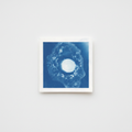 Ovum Cyanotype