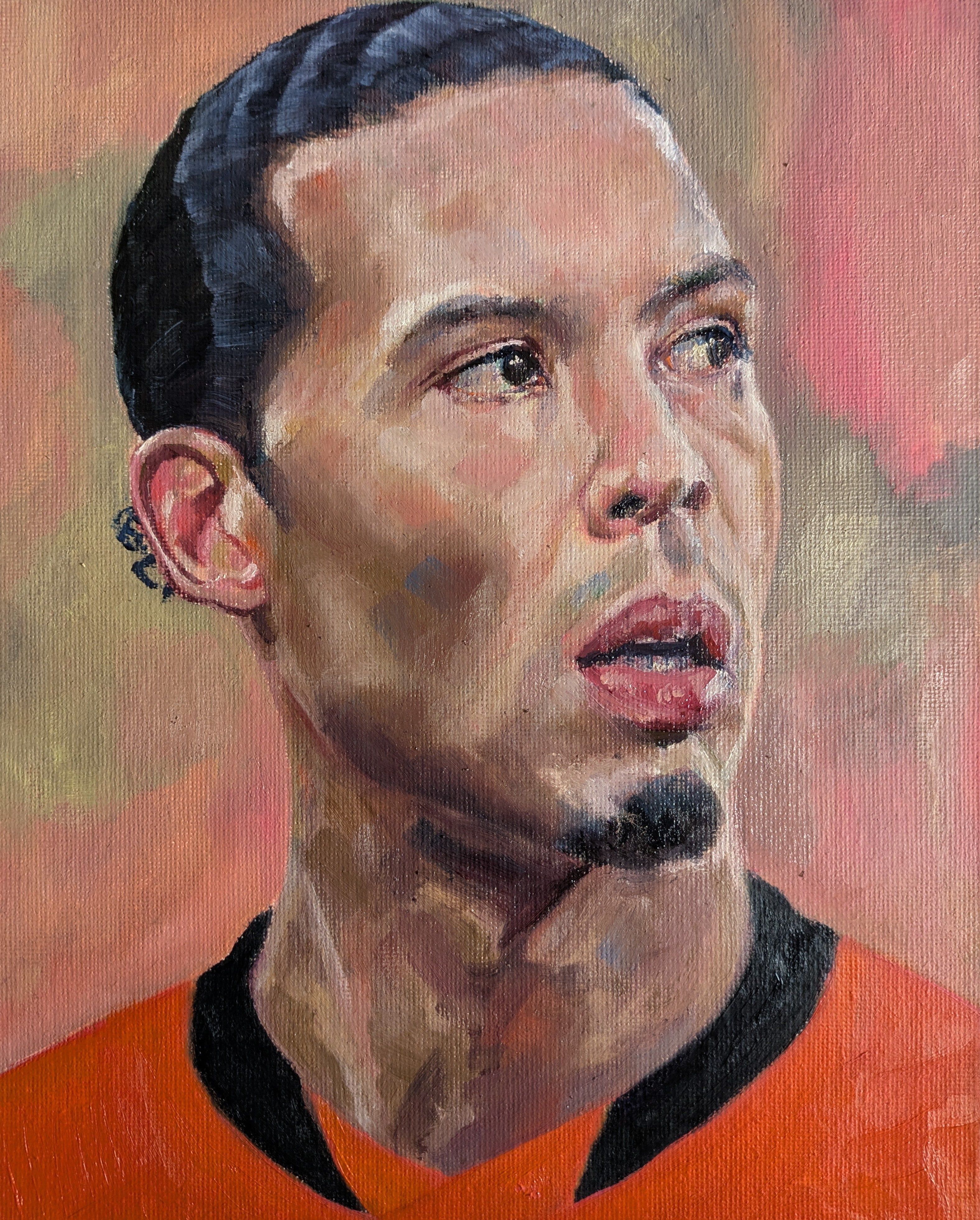Vigil van Dijk - #4 - Netherlands