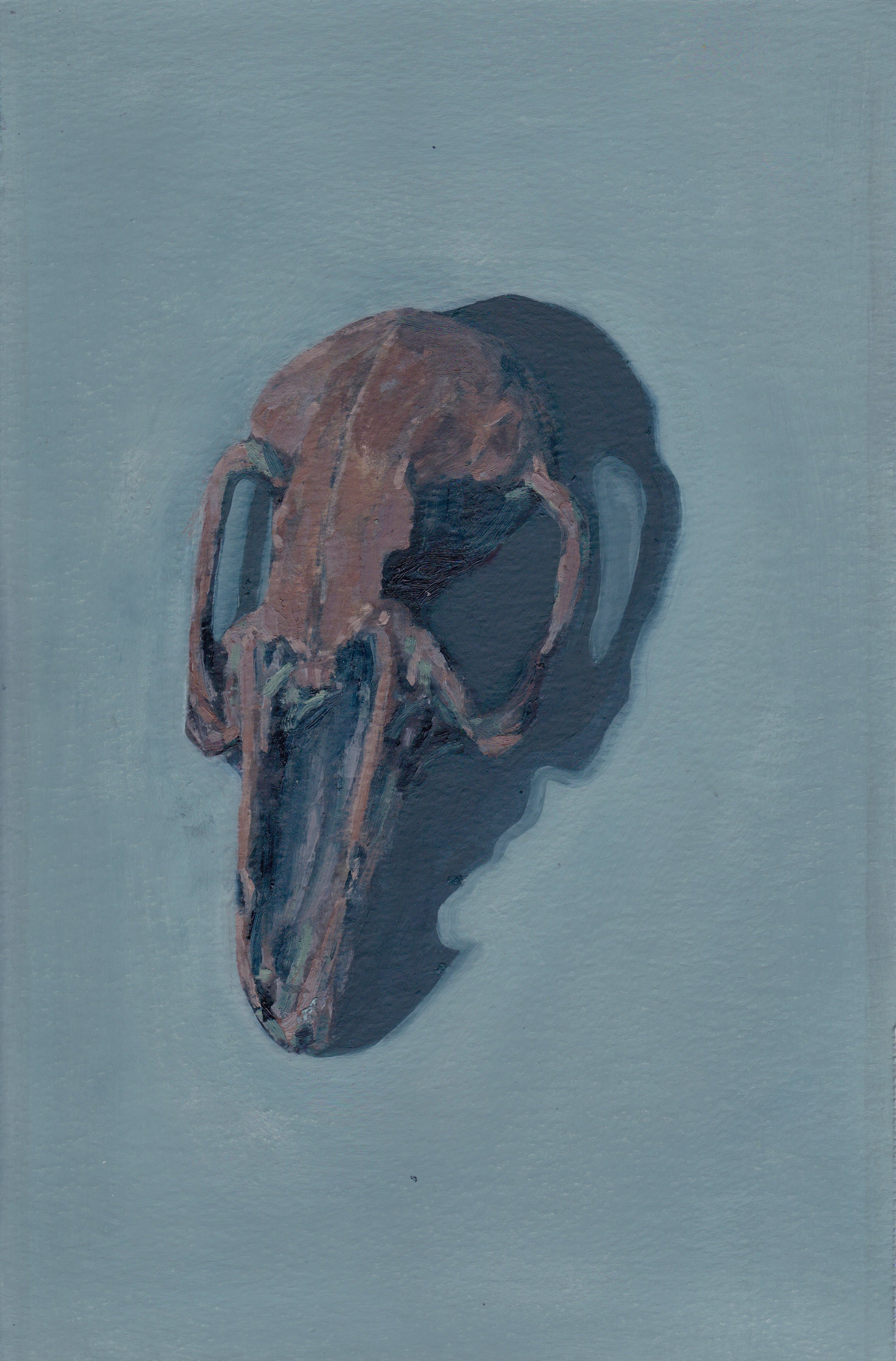 Rabbit Skull Oil Painting