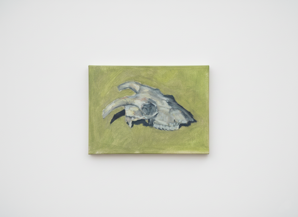 Sheep skull Oil Painting